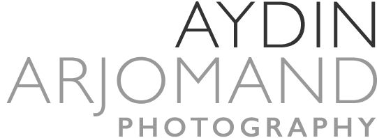 The Work & Writings of Aydin Arjomand